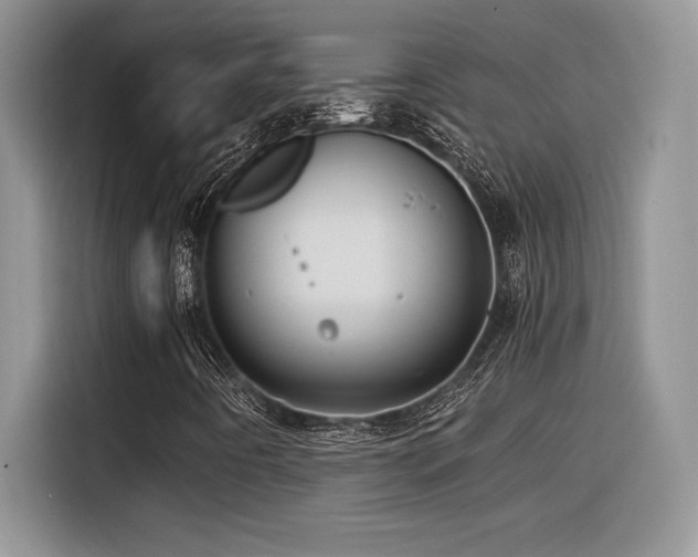 X0000116391442200912021530