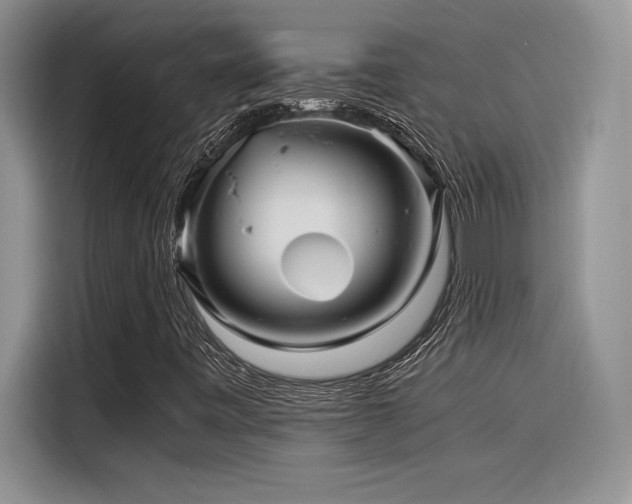X0000116391443200912021530