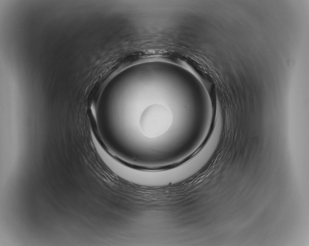X0000116391444200912021530
