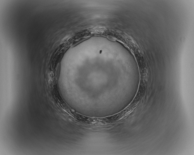 X0000116391445200912021530