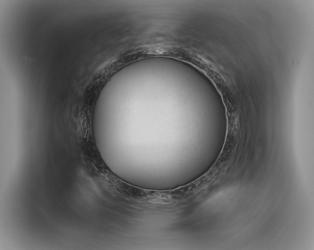 X0000116391446200912021530