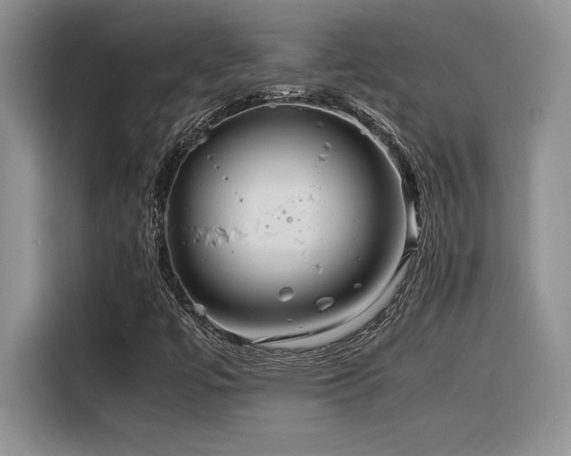 X0000116391447200912021530
