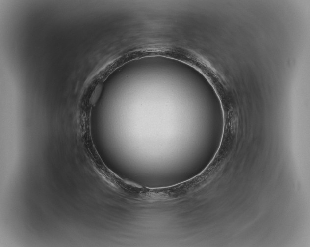 X0000116391448200912021530