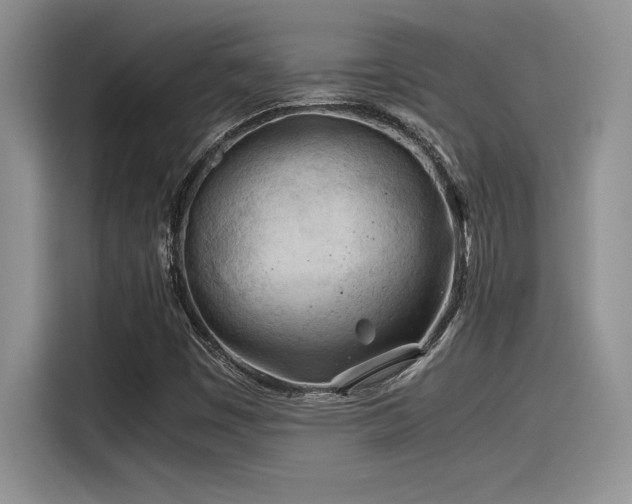X0000116391449200912021530