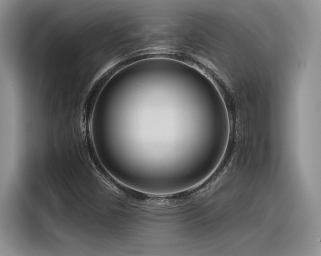 X0000116391450200912021530