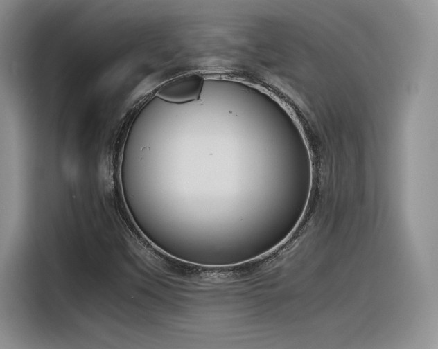 X0000116391451200912021530