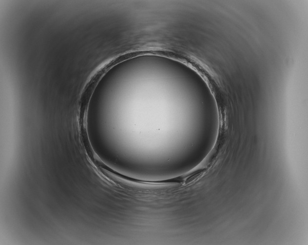 X0000116391452200912021530