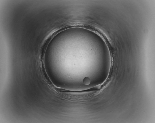 X0000116391453200912021530