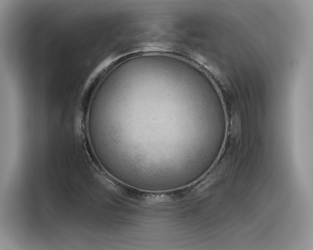 X0000116391454200912021530