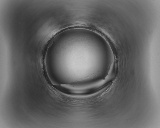X0000116391455200912021530