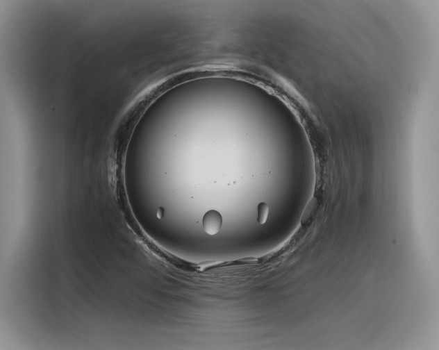 X0000116391456200912021530