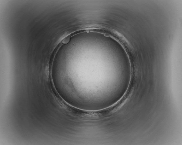X0000116391457200912021530