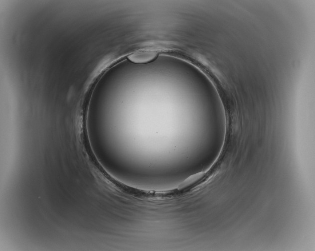 X0000116391459200912021530