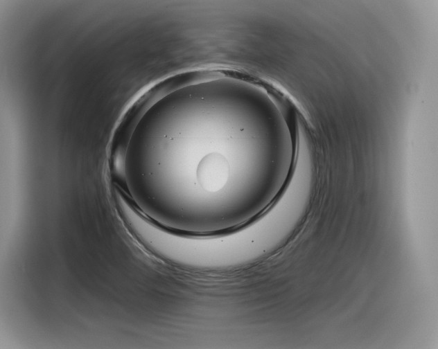 X0000116391460200912021530