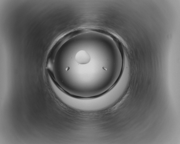 X0000116391461200912021530