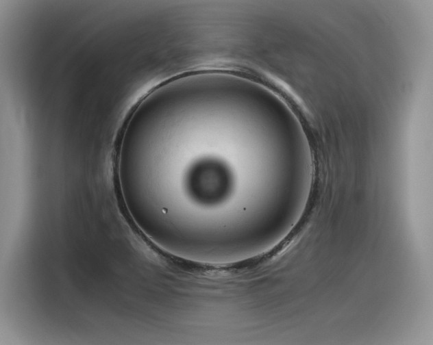 X0000116391463200912021530