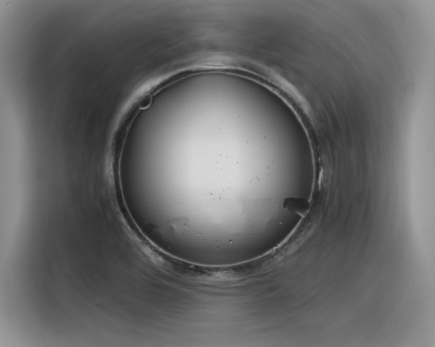X0000116391464200912021530