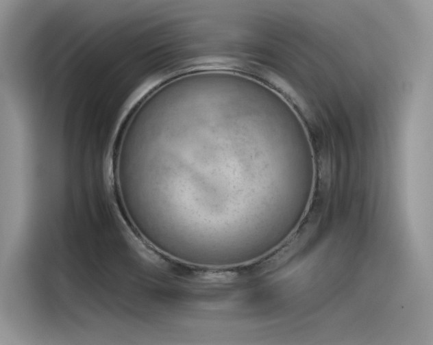 X0000116391466200912021530