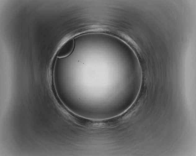 X0000116391467200912021530