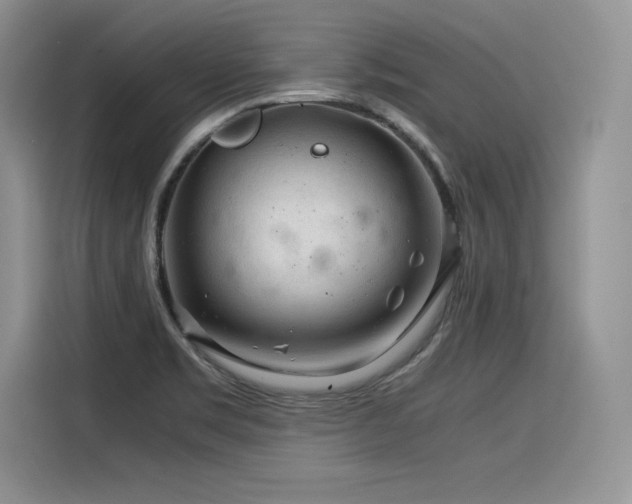 X0000116391469200912021530