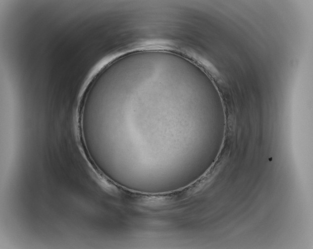 X0000116391470200912021530