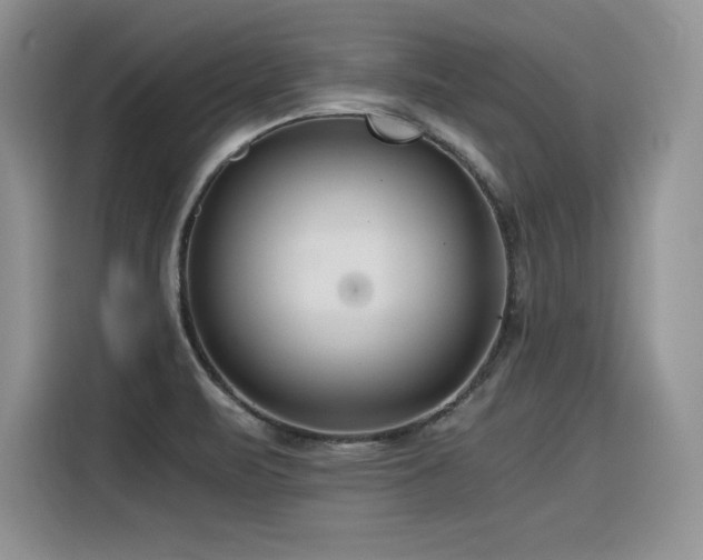 X0000116391471200912021530