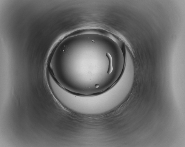 X0000116391472200912021530