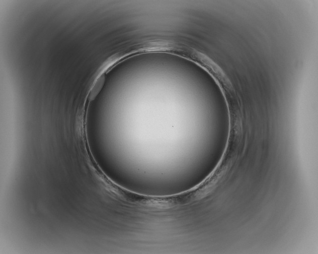 X0000116391473200912021530