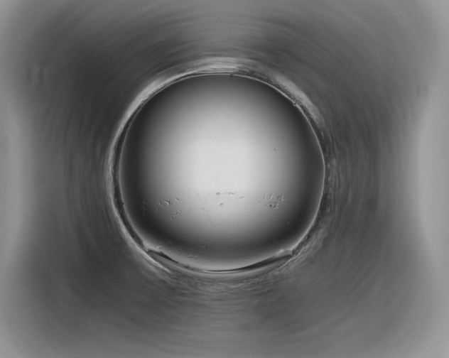 X0000116391475200912021530