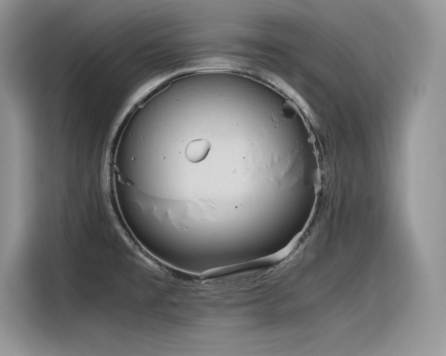 X0000116391477200912021530