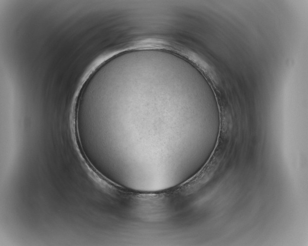 X0000116391478200912021530