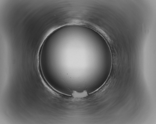 X0000116391479200912021530