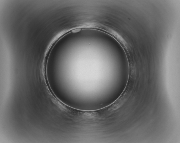 X0000116391480200912021530