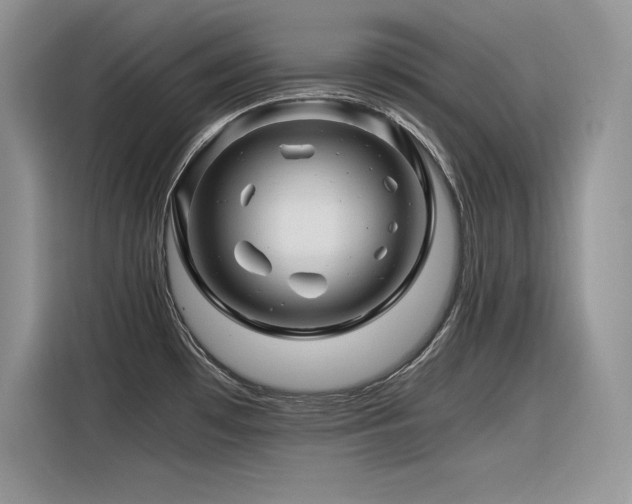 X0000116391481200912021530