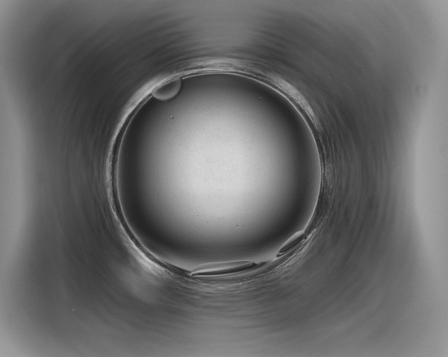X0000116391482200912021530