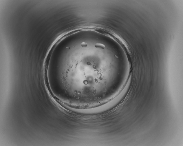 X0000116391483200912021530