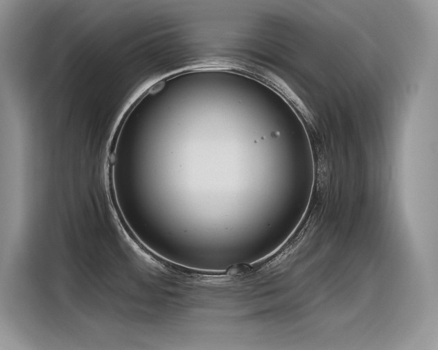 X0000116391484200912021530