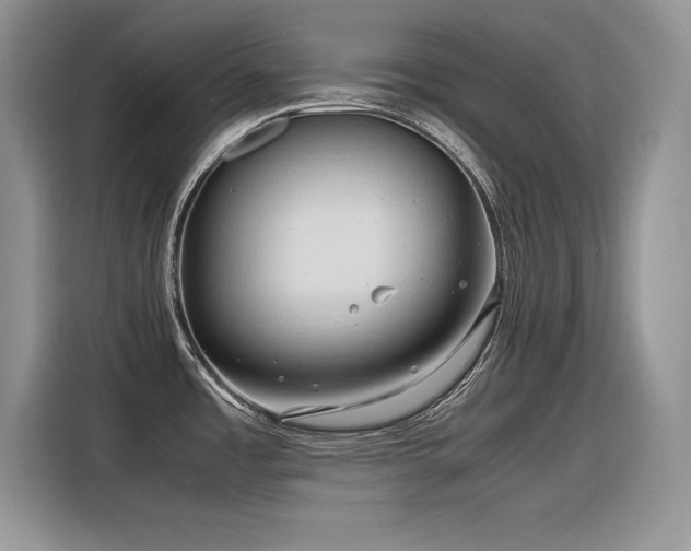 X0000116391485200912021530