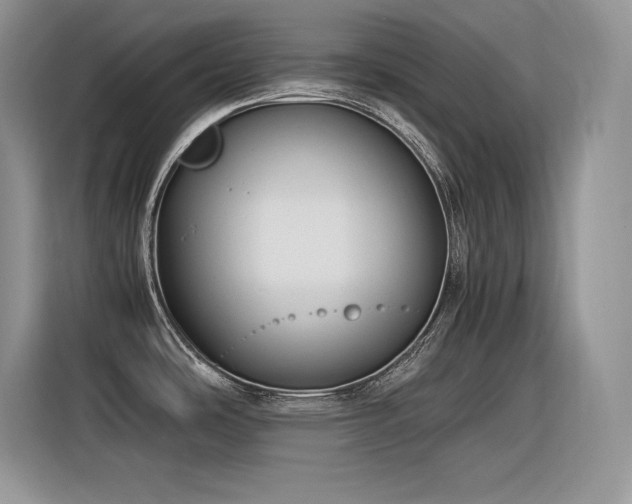 X0000116391486200912021529