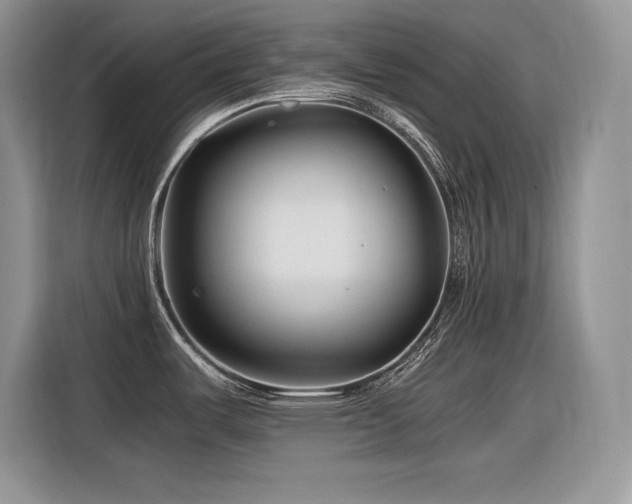 X0000116391487200912021529