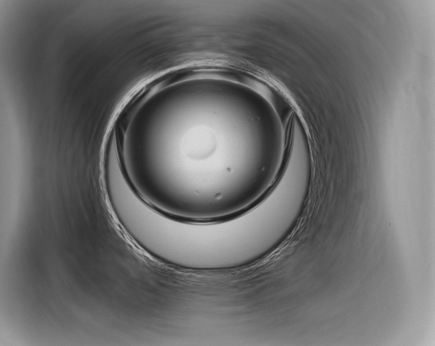 X0000116391488200912021529