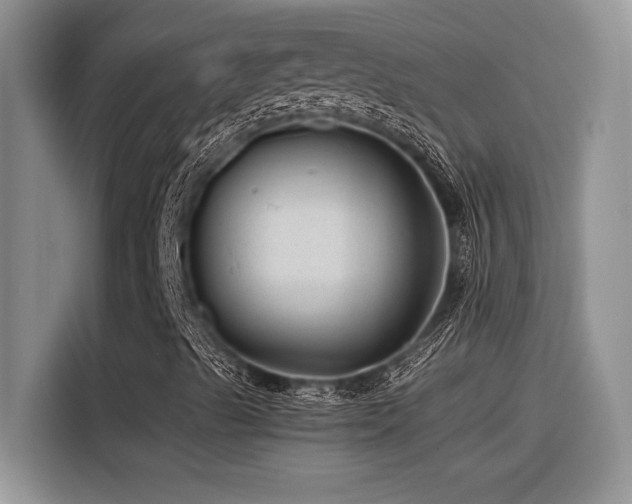 X0000116391489200912021529