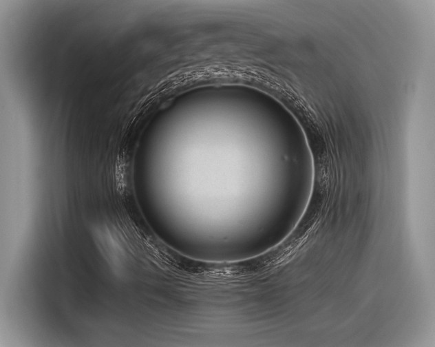 X0000116391490200912021529