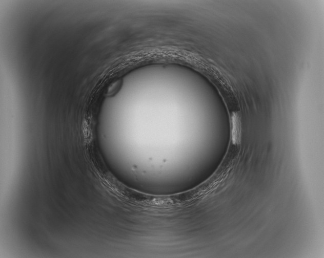 X0000116391491200912021529