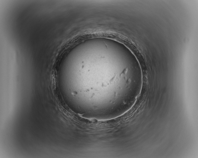 X0000116391493200912021529