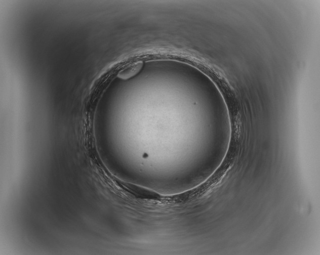 X0000116391494200912021529