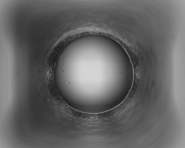 X0000116391495200912021529