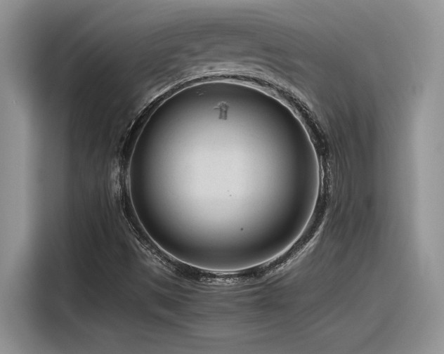 X0000116391497200912021529