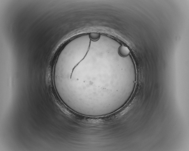 X0000116391498200912021529