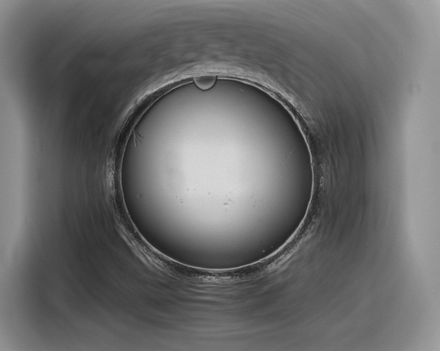 X0000116391499200912021529